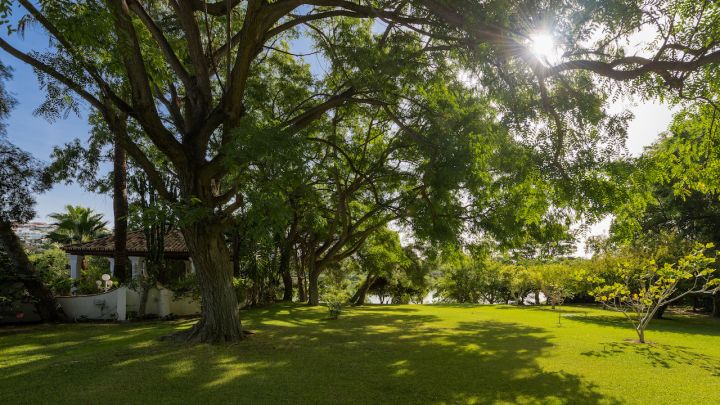 Cortijo del Taraje - Charming Andalusian Cortijo with Exceptional Potential and Lake Views