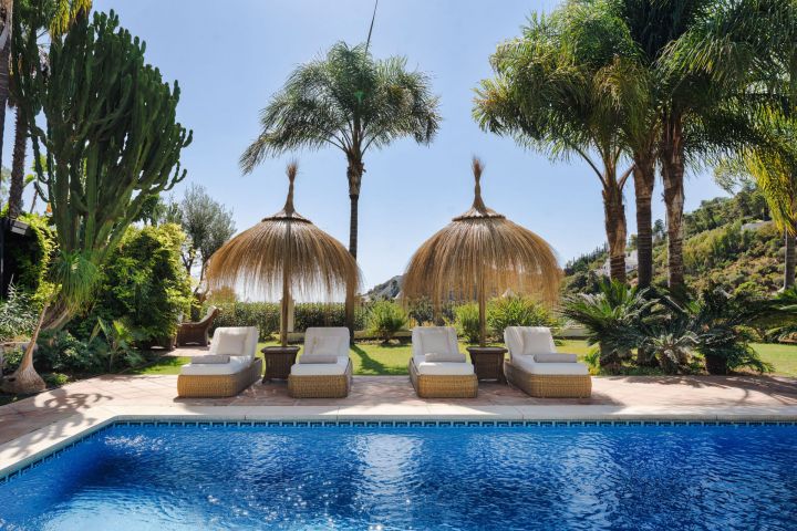 Villa Las Palmeras - Incredible Property in El Madroñal