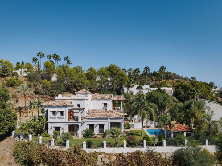 Villa Las Palmeras - Incredible Property in El Madroñal