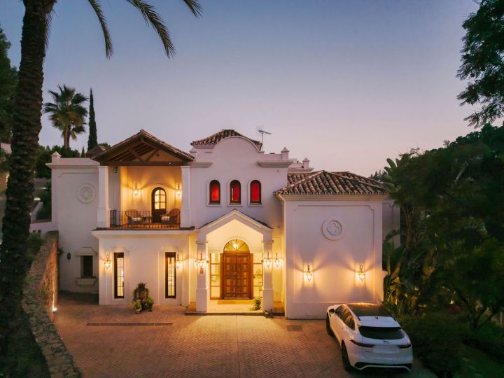 Villa Las Palmeras - Incredible Property in El Madroñal