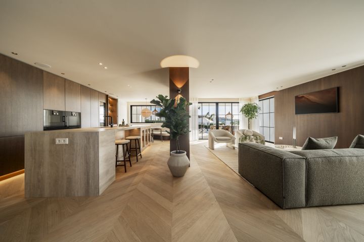 Auriga 13 - Auriga 13